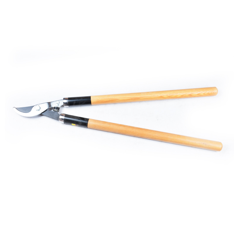Long-Reach Pruners