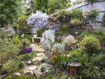 How to Create a Cozy Home and a Beautiful Garden with the Right Tools